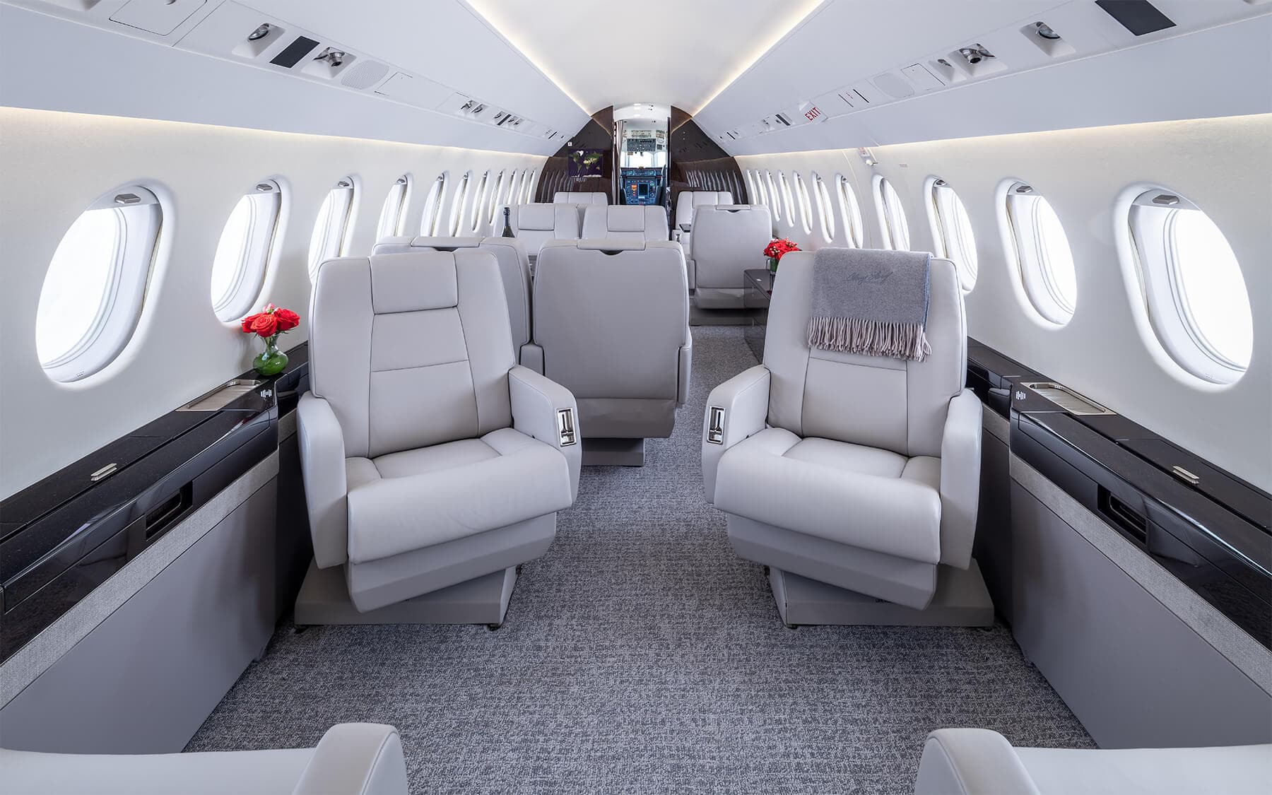 Dassault Falcon 900C Interior